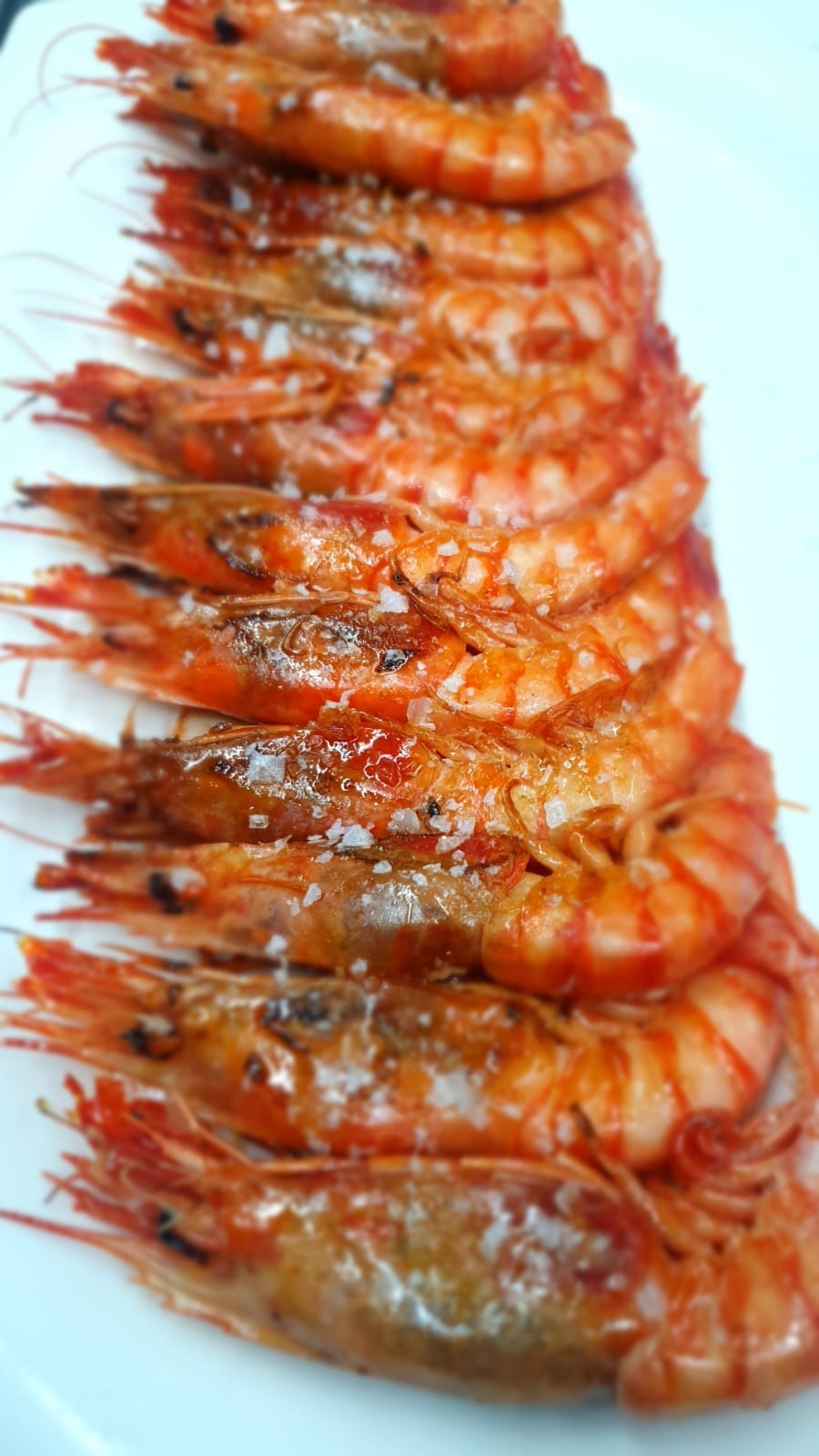 Las mejores marisquerías de Zaragoza que tienes que probar