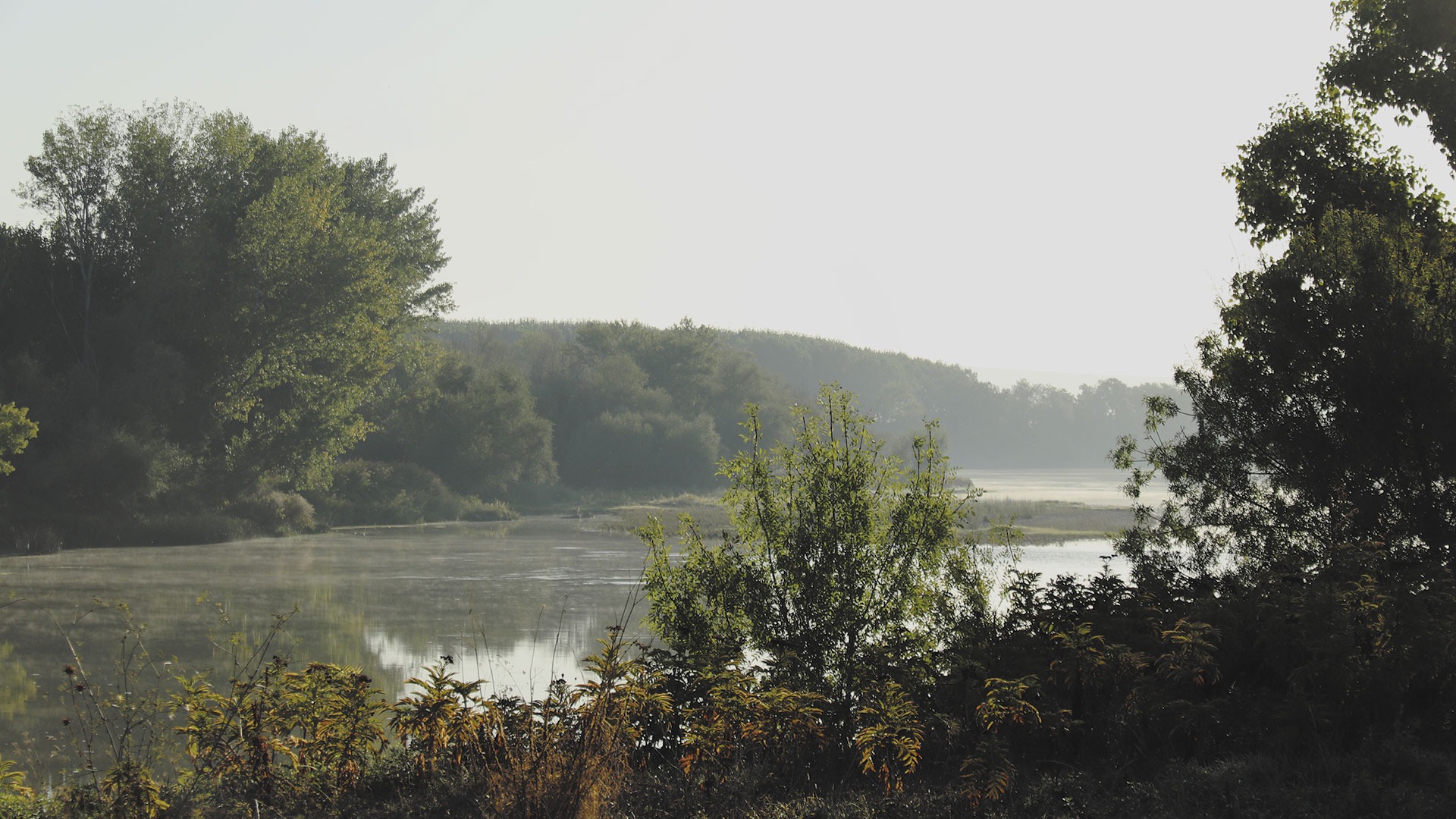 Lugares para ver atardeceres en Zaragoza